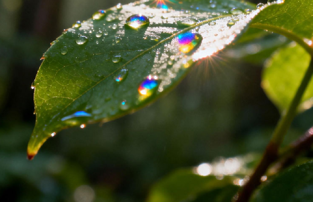 科学作息赋能肌肤健康：早睡早起护肤养成指南